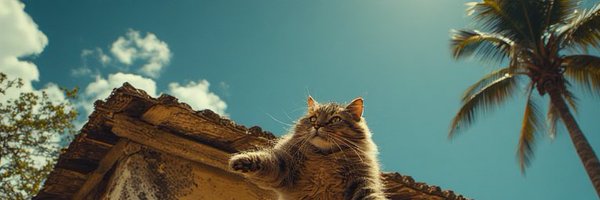 tiltil22 Profile Banner