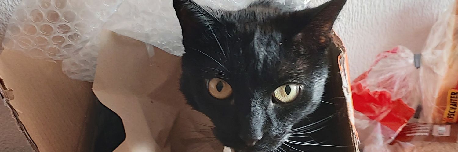 Lothar 🇩🇪🇺🇦 - FCK AfD banner