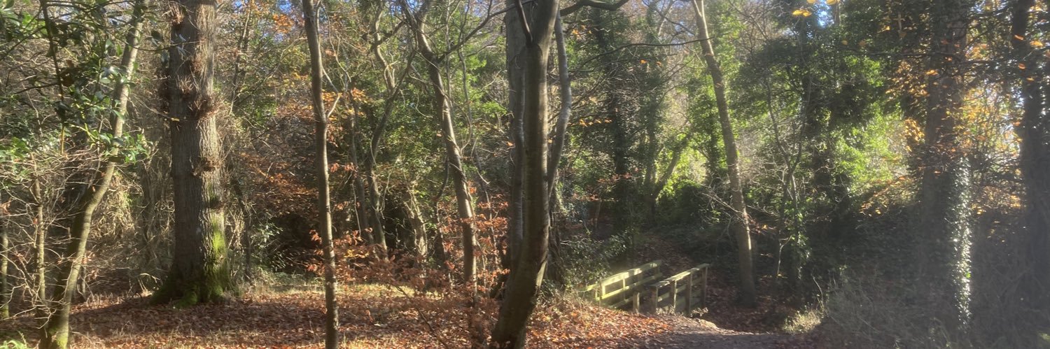 Colm Faulkner banner