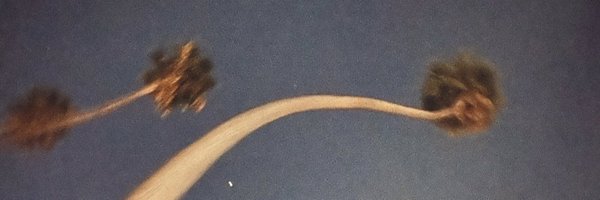 suprchnk Profile Banner