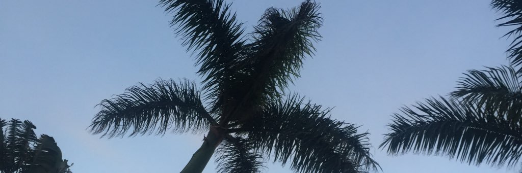 samgrieco's profile banner image