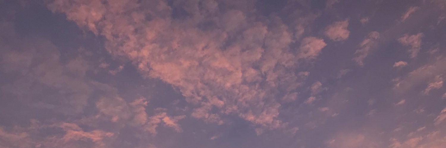 Roxana Andrade banner