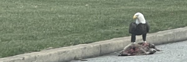GeoffPMosher Profile Banner