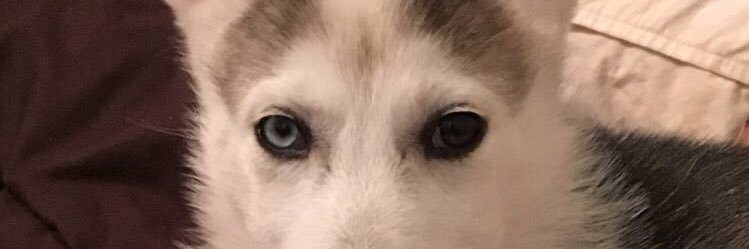 FakeJohnCleary's profile banner image