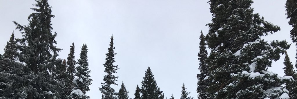 5bradbush's profile banner image