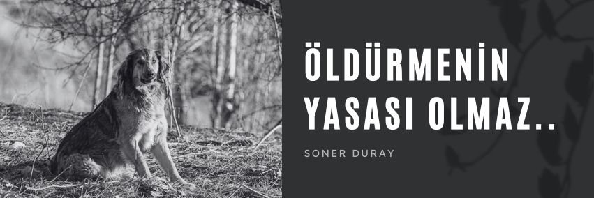 SonerDURAY's profile banner image