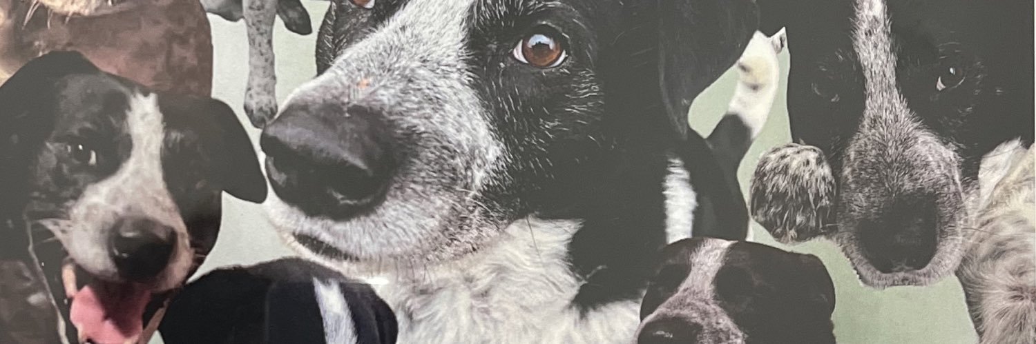 MonceRobledo's profile banner image
