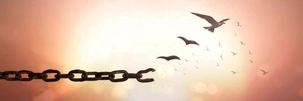 brentski21's profile banner image