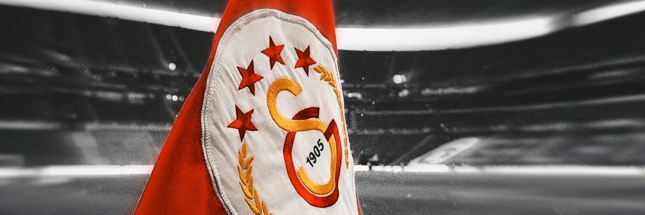 bergidenn's profile banner image