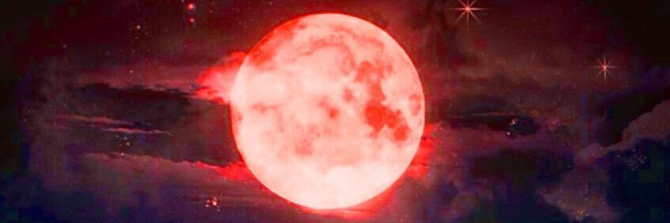 CSMSRED's profile banner image