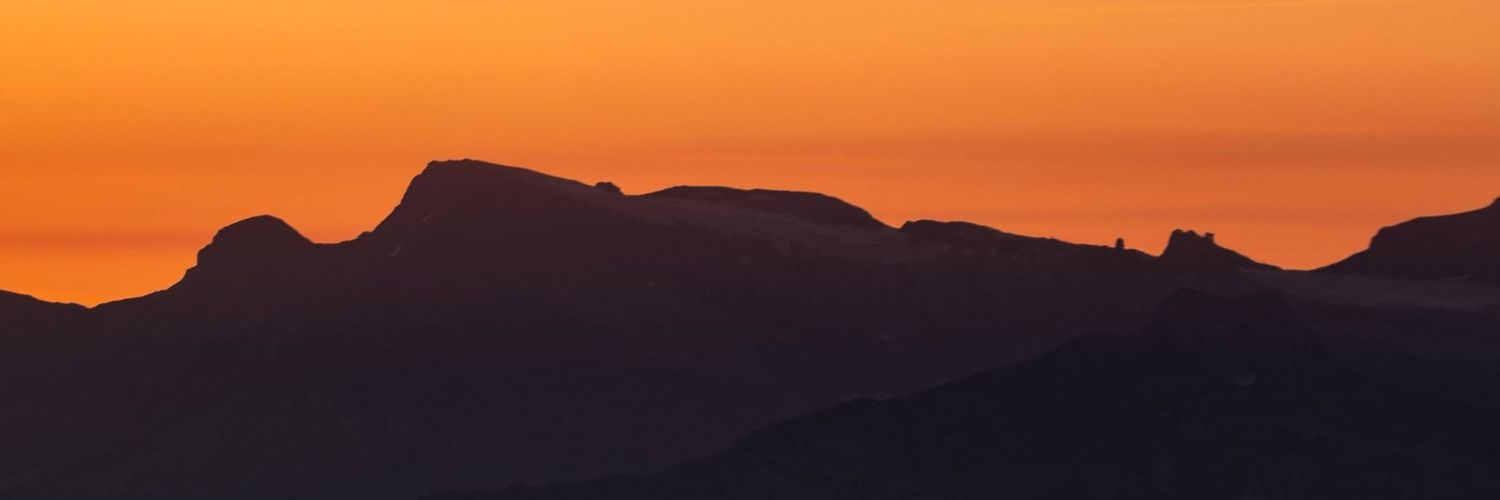 Steve Benison banner