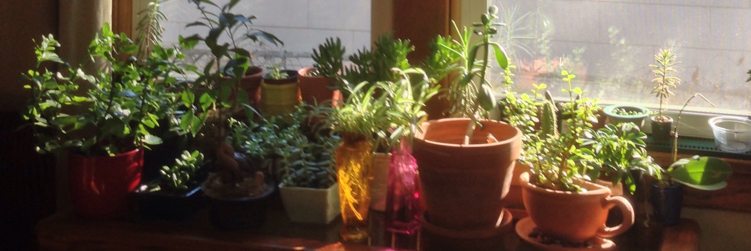 CoffeeWithCacti banner