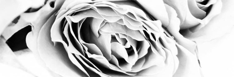 PBPrintShop's profile banner image