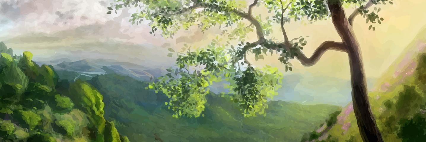 clear_serenity's profile banner image