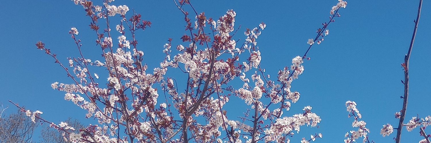 mariJL89's profile banner image