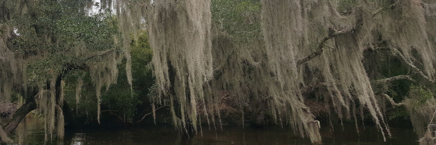 2SSturdy's profile banner image