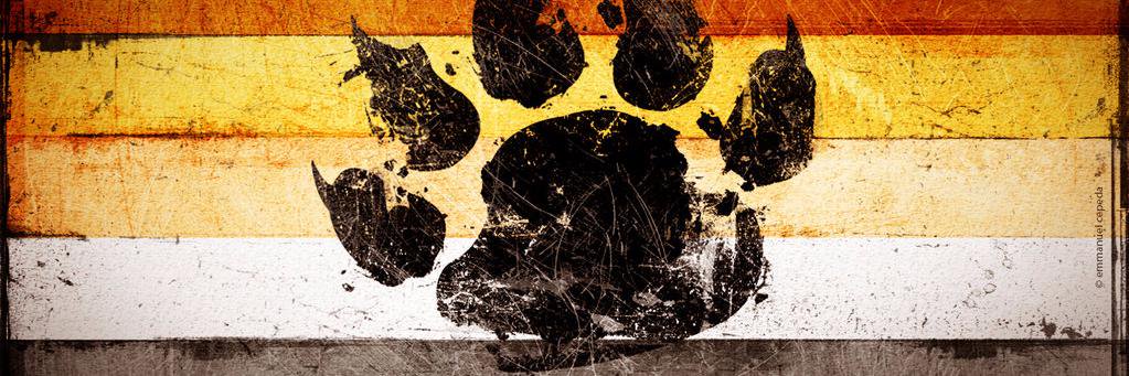 LechOSO Activo 100% banner