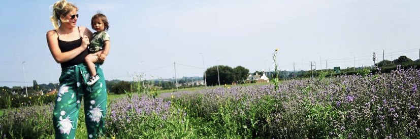 Betsyystweets's profile banner image