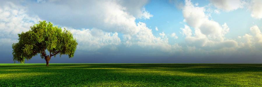 Marek Woś 🇵🇱 banner