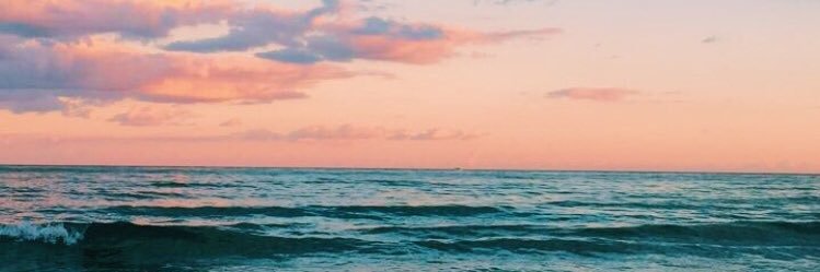 sophialongo16's profile banner image