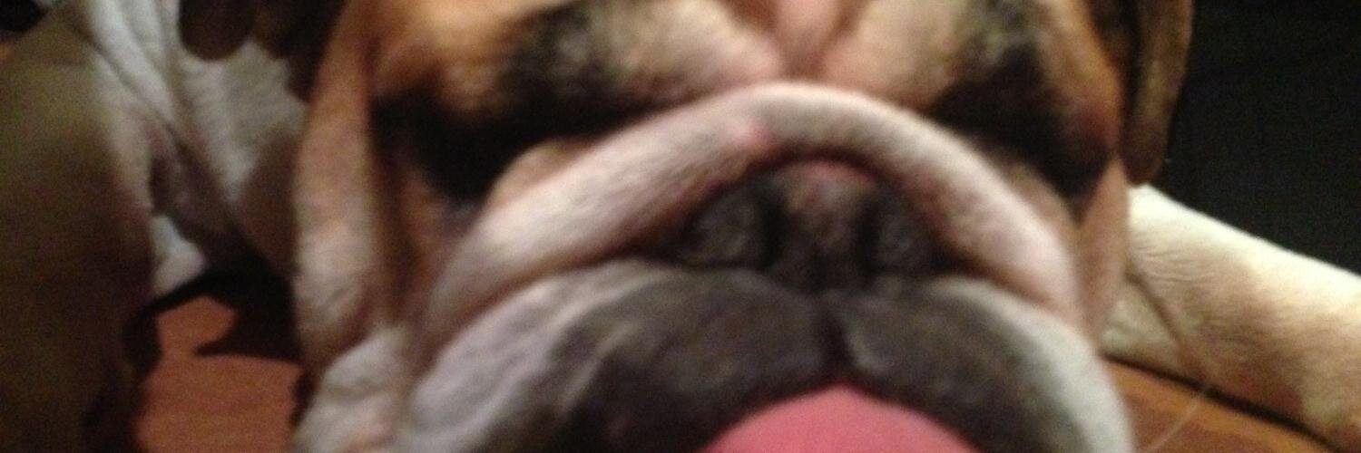 javolm's profile banner image