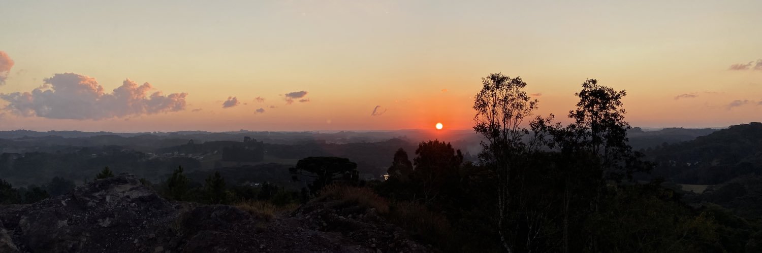 neppelcibele's profile banner image
