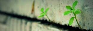 MAL_SAEED's profile banner image