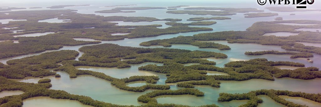 Derek J. Detweiler, Ph.D. banner