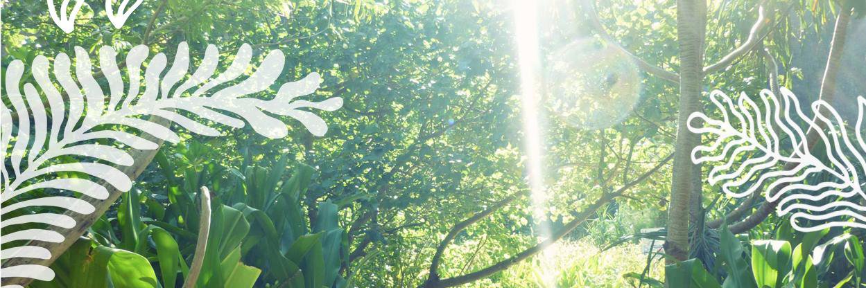 lo_bech's profile banner image