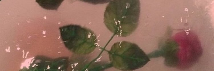 manamimi_zu's profile banner image