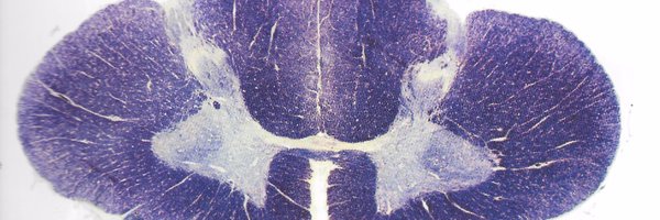 MadeOfBones Profile Banner