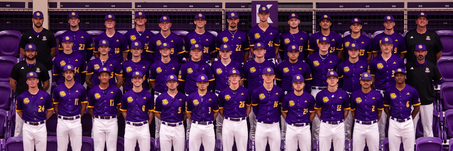 Western Illinois Baseball banner