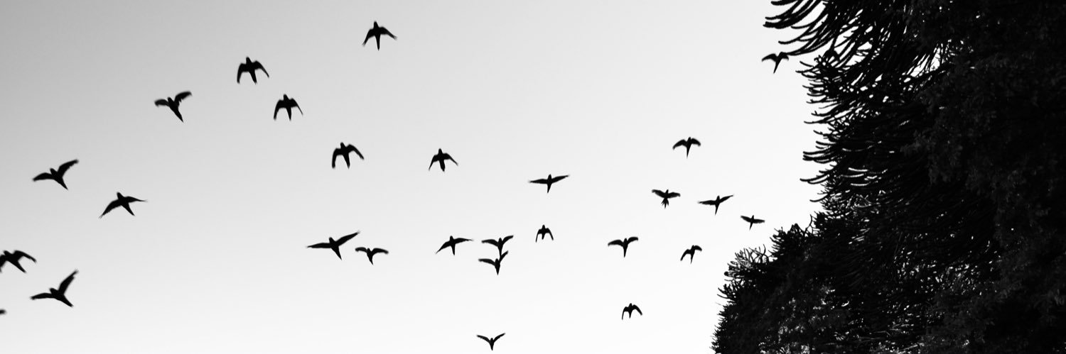 sgodoya's profile banner image