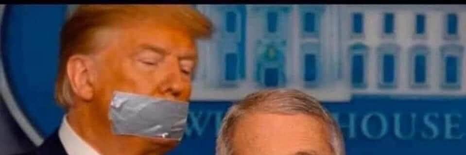 Pernilla Larsson banner