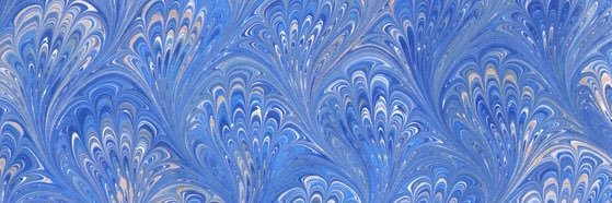 Antonella La Carpia banner