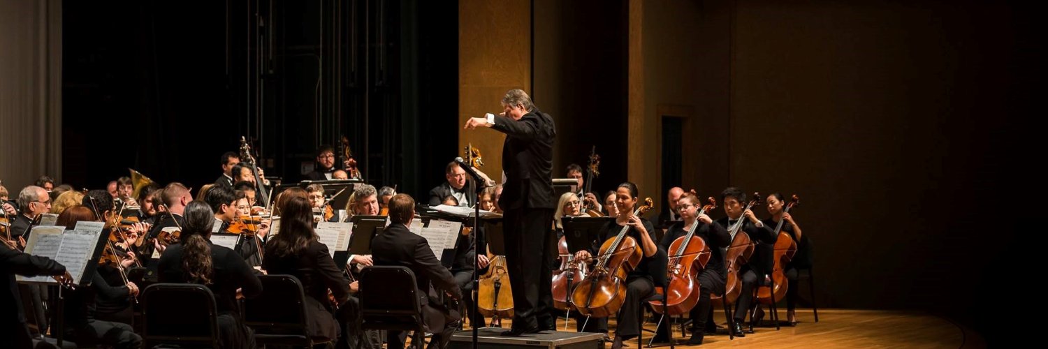 LasSymphony's profile banner image