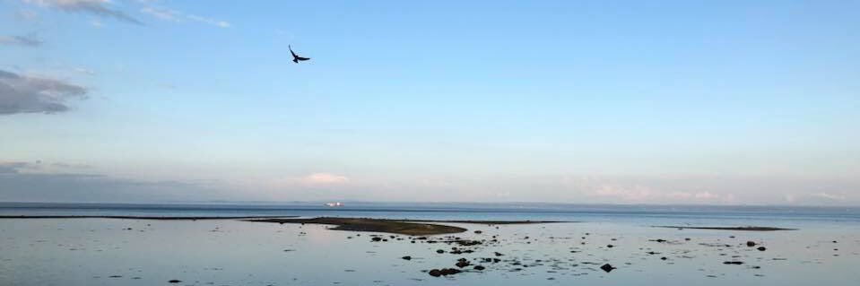 SandrineBoisselier banner