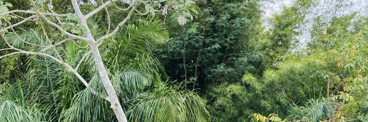 Natissss2's profile banner image