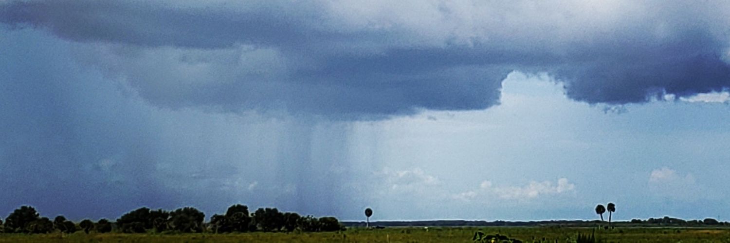 Julie Brashears Wraithmell banner