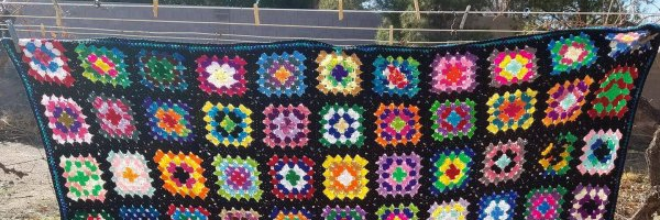 Beverly Qualheim banner