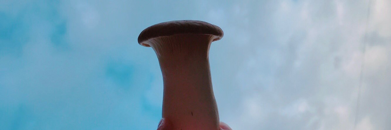 00__egg's profile banner image