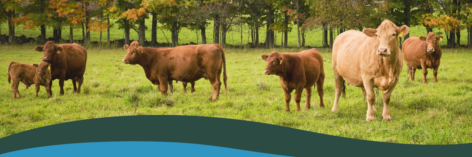 Canadian Cattle Association banner