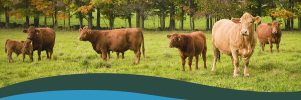 CanCattle Profile Banner