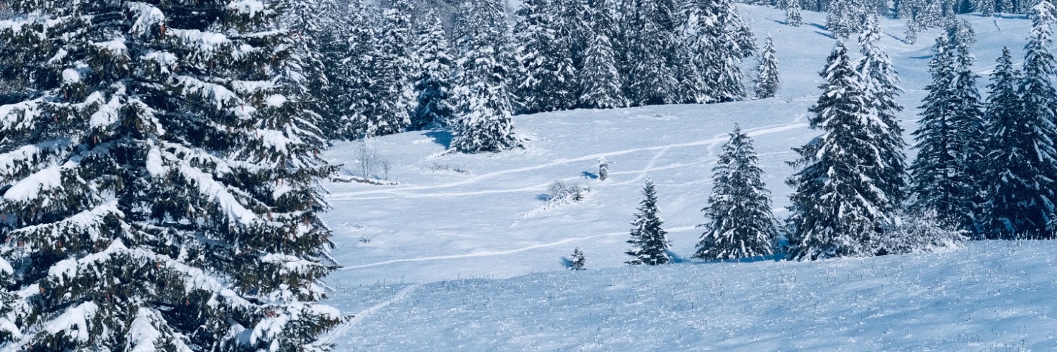 Sarah Cumberland banner