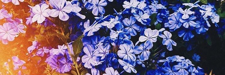 Chayquality's profile banner image