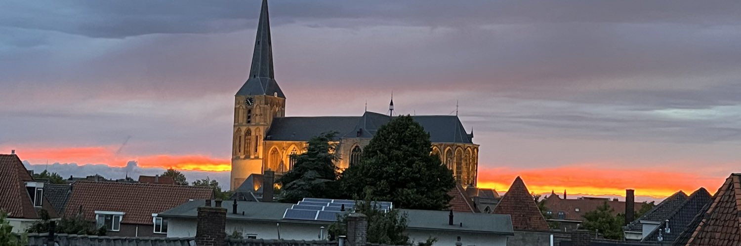 Mitchell Hooisma banner