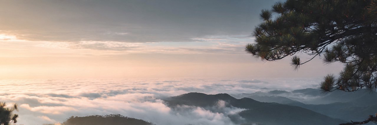 NY7_____'s profile banner image