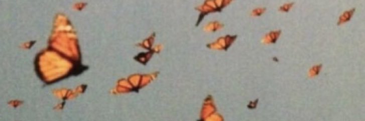 Arianaaaa_11's profile banner image