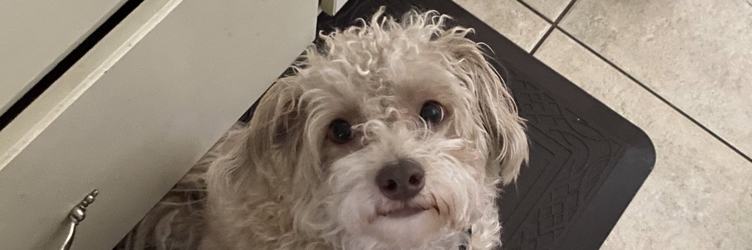 _KayVu's profile banner image