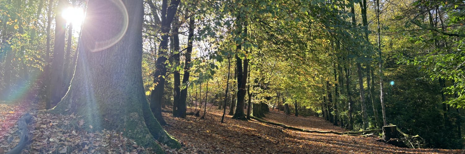 Isabel Hunter banner